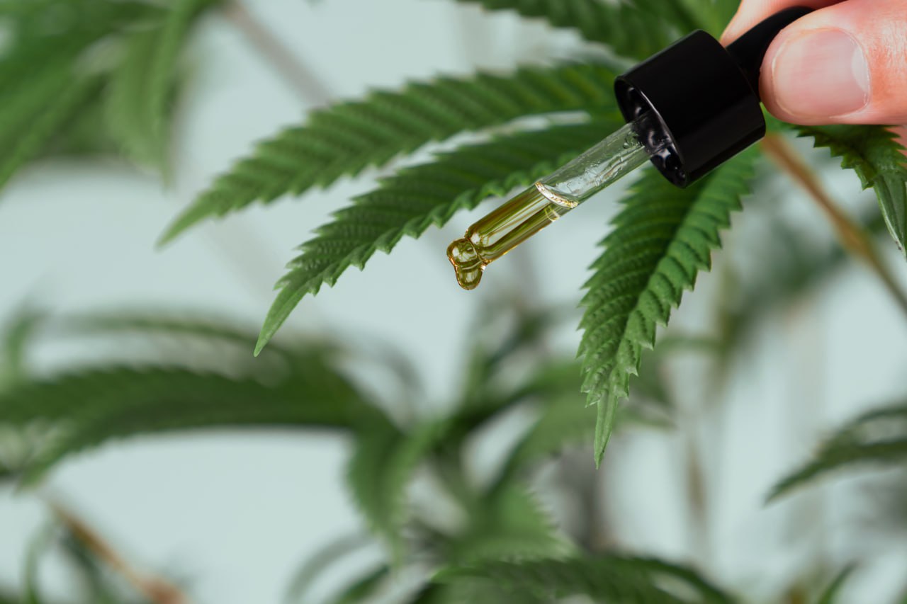 CBD oil and leaves